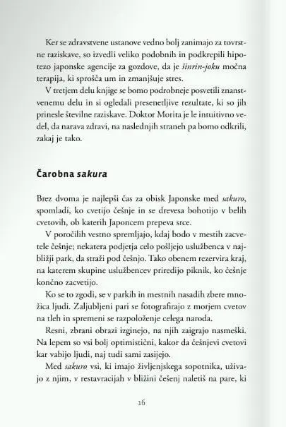 Šinrin-joku: japonska gozdna kopel - slika 9