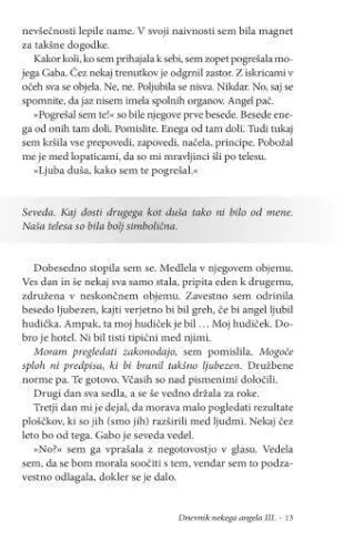 Dnevnik nekega angela, III. del - slika 10