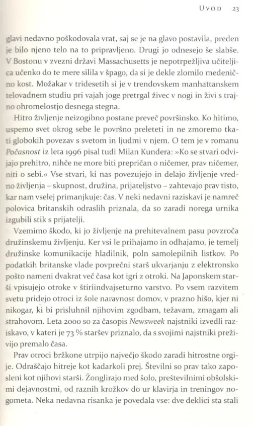 Hvalnica počasnosti - slika 27