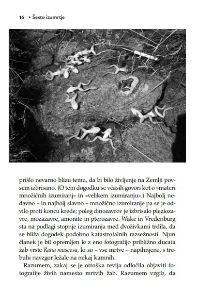 Šesto izumrtje: Nenaravna zgodovina - slika 31