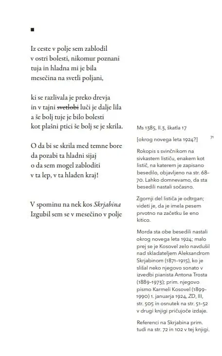 Vsem naj bom neznan, 1. knjiga - slika 31