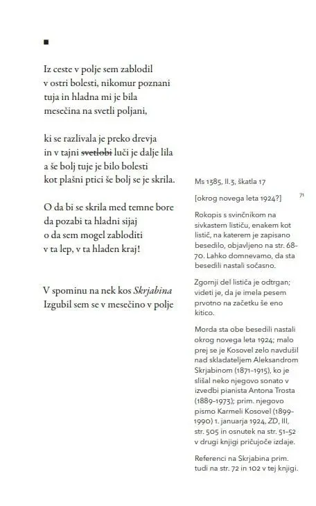 Vsem naj bom neznan, 1. knjiga - slika 10