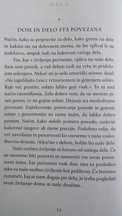 Delo - Kako najti veselje in pomen v vsakem trenutku - slika 9