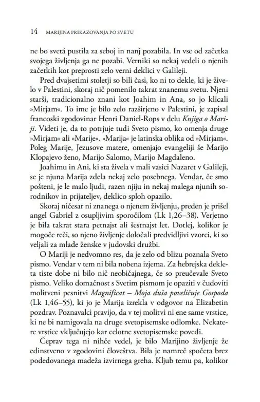 Marijina prikazovanja po svetu - slika 24