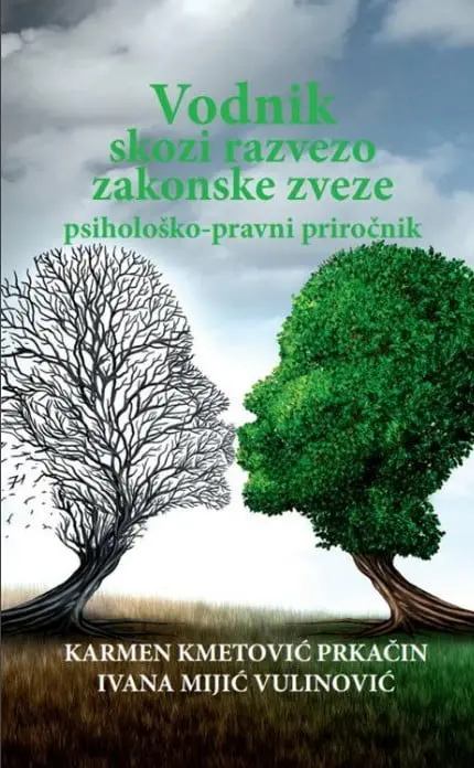 Vodnik skozi razvezo zakonske zveze - slika 2