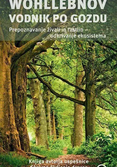 Wohllebnov vodnik po gozdu