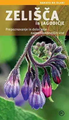 Zelišča in jagodičje