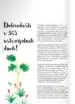 365 ustvarjalnih dni – Lorna Scobie, Knjigarna Cangura