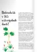 365 ustvarjalnih dni – Lorna Scobie, Knjigarna Cangura
