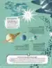Astronomija za radovedne – Lara Albanese, Knjigarna Cangura
