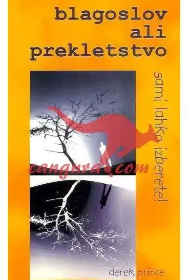 Blagoslov ali prekletstvo, Knjigarna Cangura