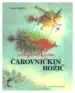 Čarovničkin božič, Knjigarna Cangura