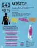Človeško telo – infografike – Jon Richards, Knjigarna Cangura