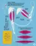 Človeško telo – infografike – Jon Richards, Knjigarna Cangura