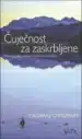 Čuječnost za zaskrbljene TV – Padraig O´Morain, Knjigarna Cangura
