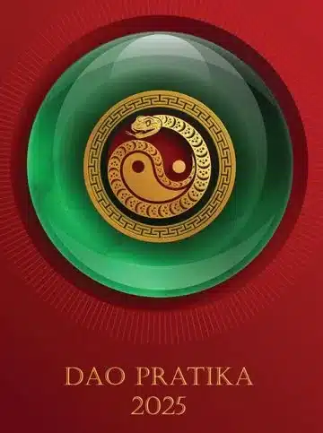 Dao Pratika 2025 – Dušan Donko in Bernarda Pavič, Knjigarna Cangura