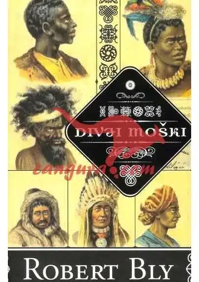 Divji moški - Knjiga o moških – Robert Bly, Knjigarna Cangura