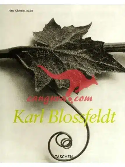 Karl Bloossfeldt – Karl Blossfeldt, Knjigarna Cangura
