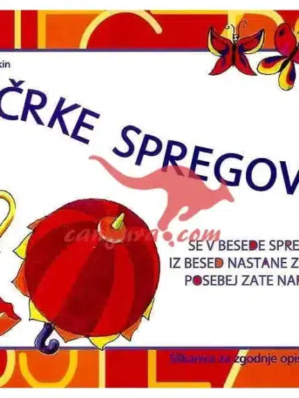 Ko črke Spregovorijo, Knjigarna Cangura