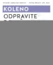 Koleno: odpravite bolečine sami – Petra Bracht, Knjigarna Cangura