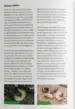 Kompost? Ja, prosim – Robert Špiler, Knjigarna Cangura