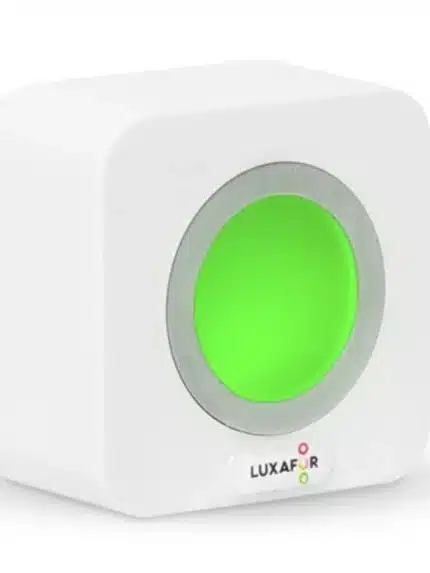 Luxafor kocka, Knjigarna Cangura