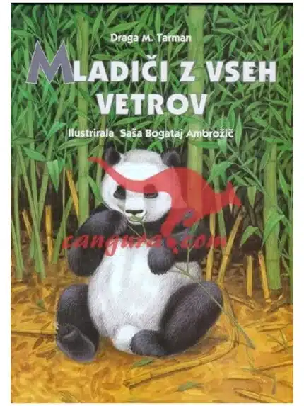 Mladiči iz vseh vetrov, Knjigarna Cangura