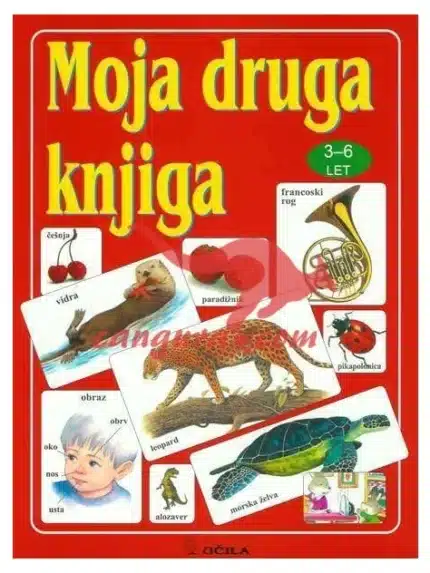 Moja druga knjiga – DNM, Knjigarna Cangura