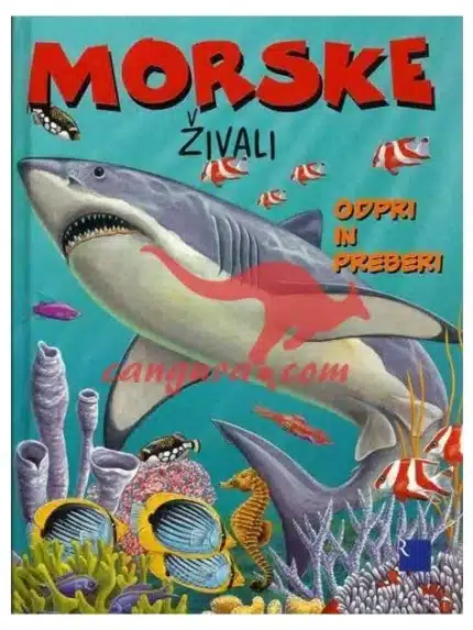 Morske živali, Knjigarna Cangura