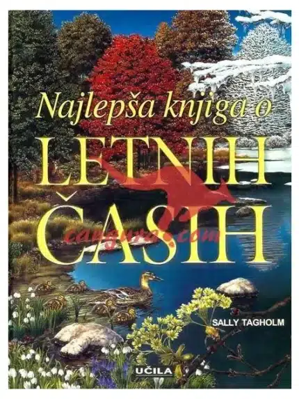 Najlepša knjiga o letnih časih, Knjigarna Cangura