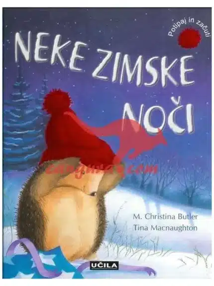 Neke zimske noči, Knjigarna Cangura