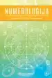 Numerologija – pomen števil in ključ do vaše usode – Richard Webster, Knjigarna Cangura