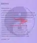 Numerologija - Usoda v številkah – Natan Bernot, Knjigarna Cangura