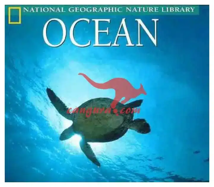 ocean Ocean, Knjigarna Cangura
