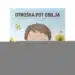 Otroška pot obilja, Knjigarna Cangura