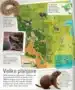 Otroški ilustrirani atlas živali – Jamie Ambrose, Knjigarna Cangura