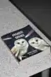 Pegasti sovici – Amadeja Godina, Knjigarna Cangura