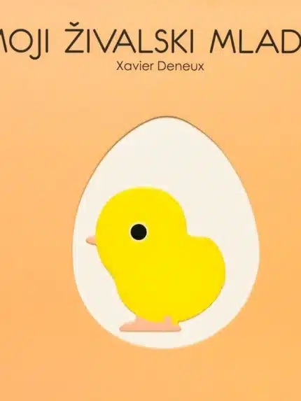 Pod morsko gladino – Xavier Deneux, Knjigarna Cangura