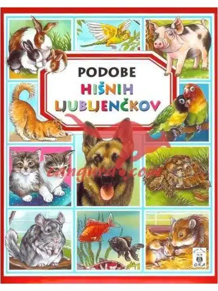 Podobe hišnih ljubljenčov, Knjigarna Cangura