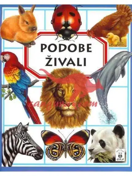 Podobe živali, Knjigarna Cangura