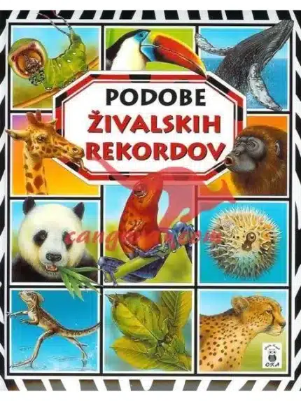Podobe živalskih rekordov, Knjigarna Cangura