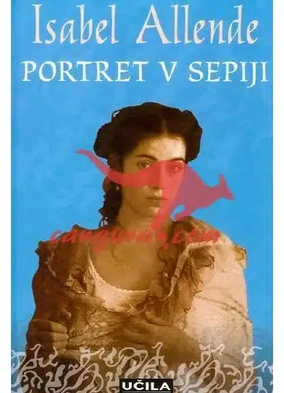 Portret v sepiji, Knjigarna Cangura