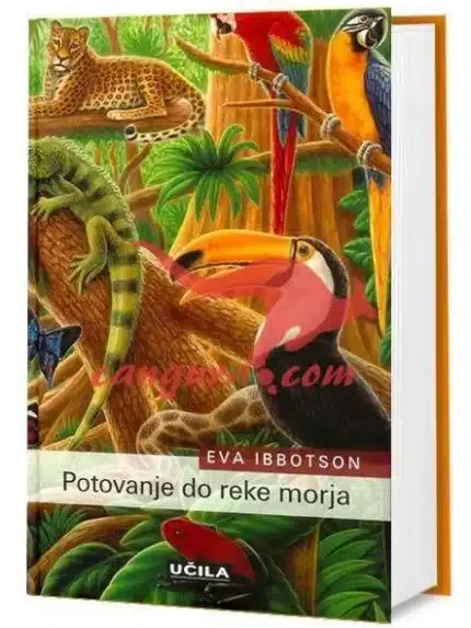 Potovanje do Reke morja, Knjigarna Cangura