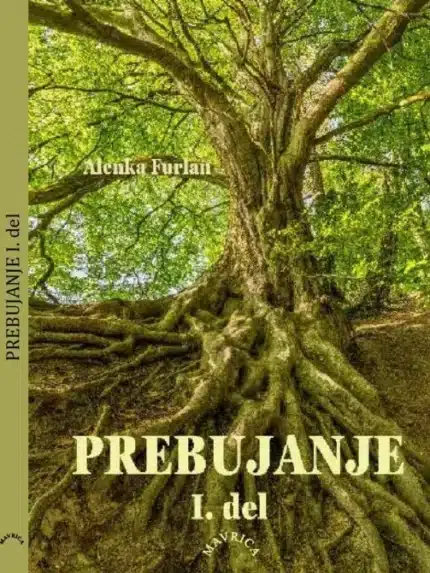 Prebujanje I. del, Knjigarna Cangura