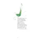 Prinašalka zgodb – Mojiceja Bonte, Knjigarna Cangura