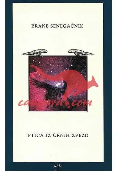 Ptica iz črnih zvezd – Brane Senegačnik, Knjigarna Cangura