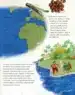 Raziskovalci – Nellie Huang, Knjigarna Cangura