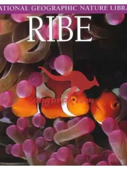 Ribe, Knjigarna Cangura