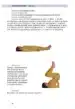 Sistem Joga v vsakdanjem življenju – Paramhans Swami Maheshwarananda, Knjigarna Cangura