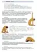 Sistem Joga v vsakdanjem življenju – Paramhans Swami Maheshwarananda, Knjigarna Cangura